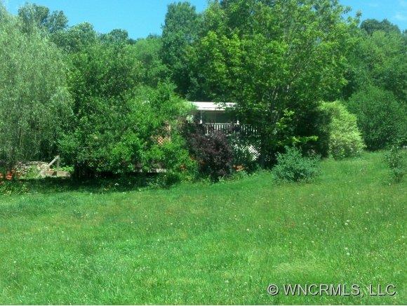 12 Blackberry Lane Candler NC 28715