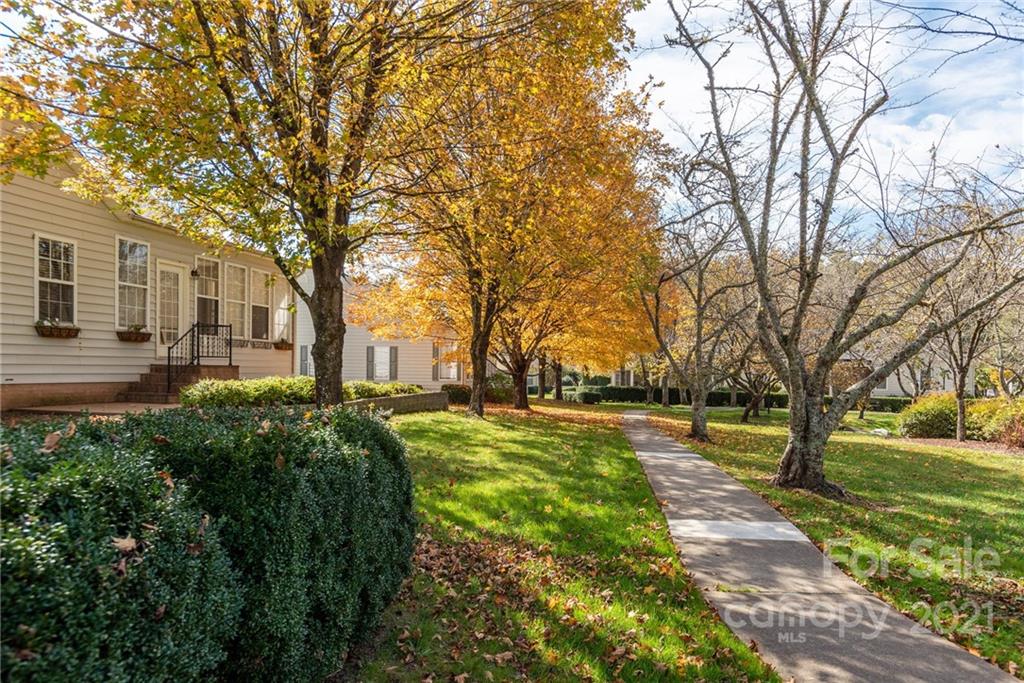 47 Canterbury Trace Brevard NC 28712