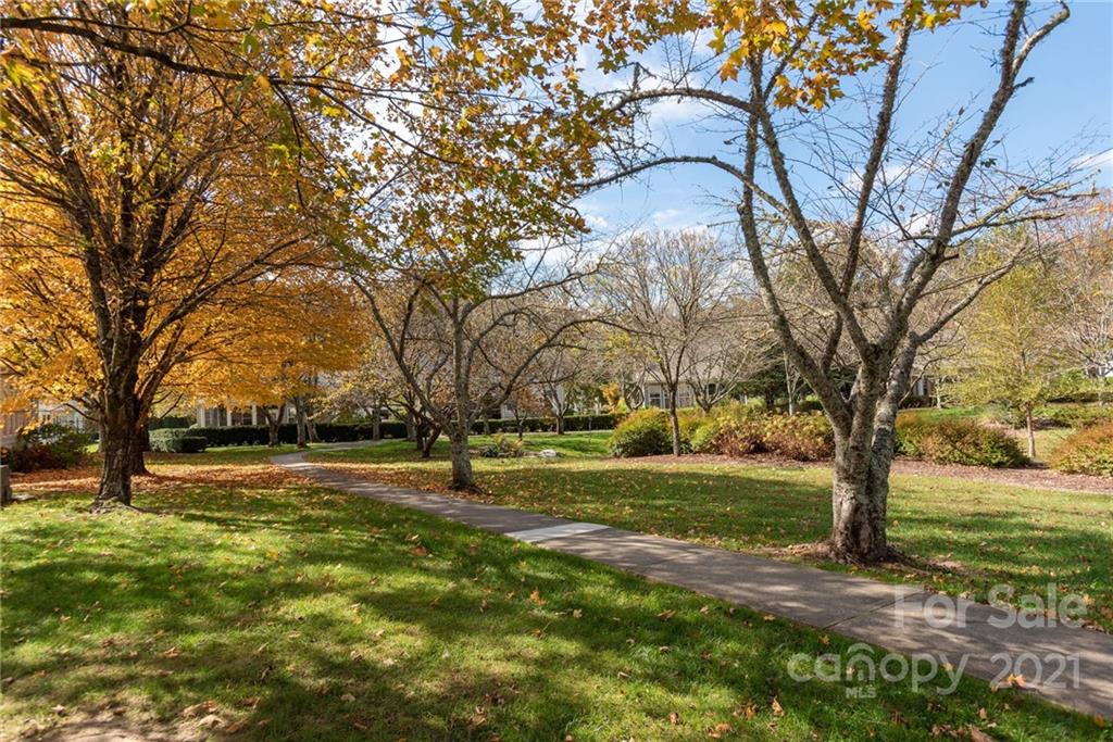 47 Canterbury Trace Brevard NC 28712