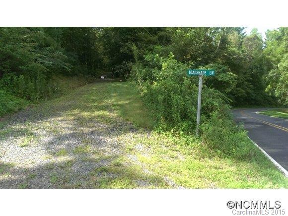 49 Toadshade Lane Asheville NC 28805