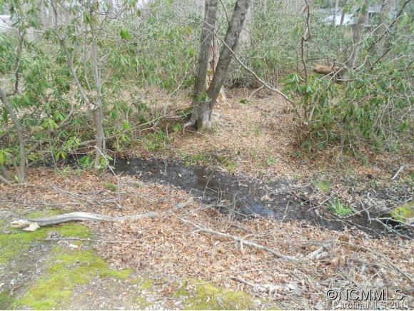 192 Snyder Lane Mills River NC 28759