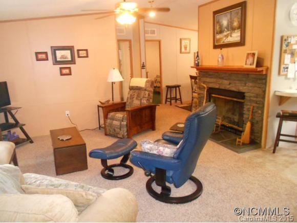 192 Snyder Lane Mills River NC 28759