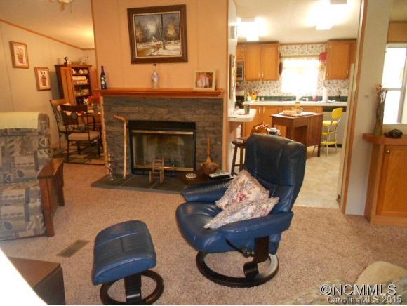 192 Snyder Lane Mills River NC 28759
