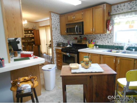 192 Snyder Lane Mills River NC 28759