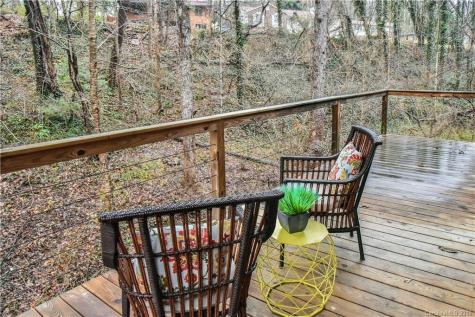 3 Perdue Place Asheville NC 28806