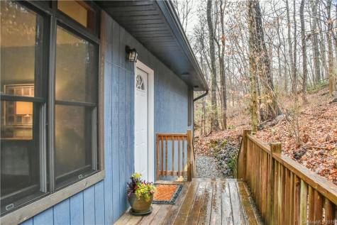 3 Perdue Place Asheville NC 28806