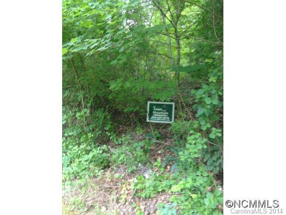 Lot 2 Spooks Branch Extension Asheville NC 28804