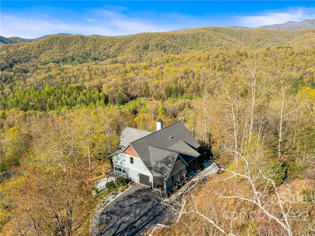 292 Stonefly Drive Horse Shoe NC 28742
