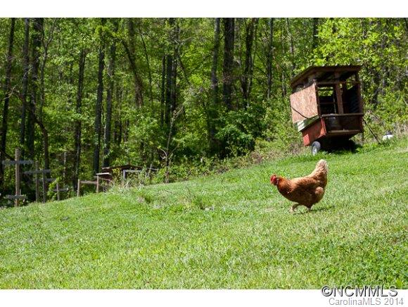 14 Wildfire Lane Candler NC 28715
