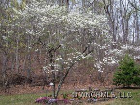 395 Lytle Cove Road Swannanoa NC 28778