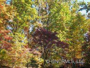 395 Lytle Cove Road Swannanoa NC 28778