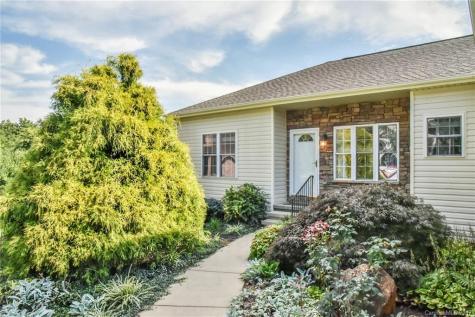 29 Village East Court Asheville NC 28805