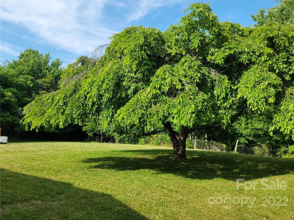 229 Doc Snyder Drive Swannanoa NC 28778