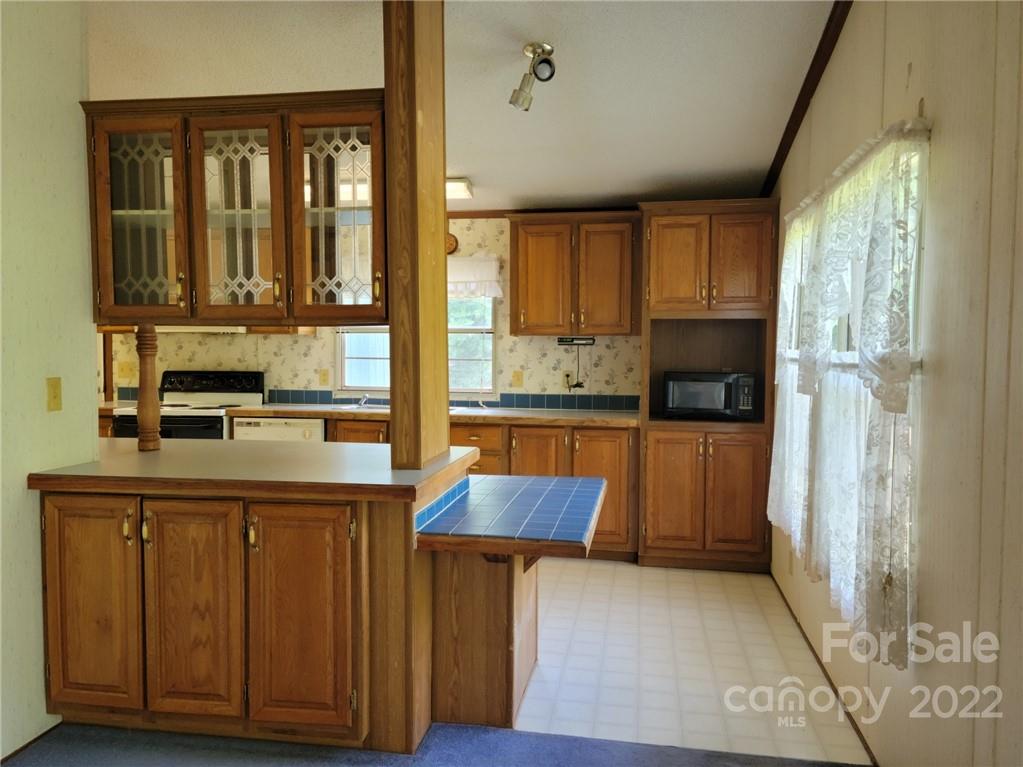 229 Doc Snyder Drive Swannanoa NC 28778