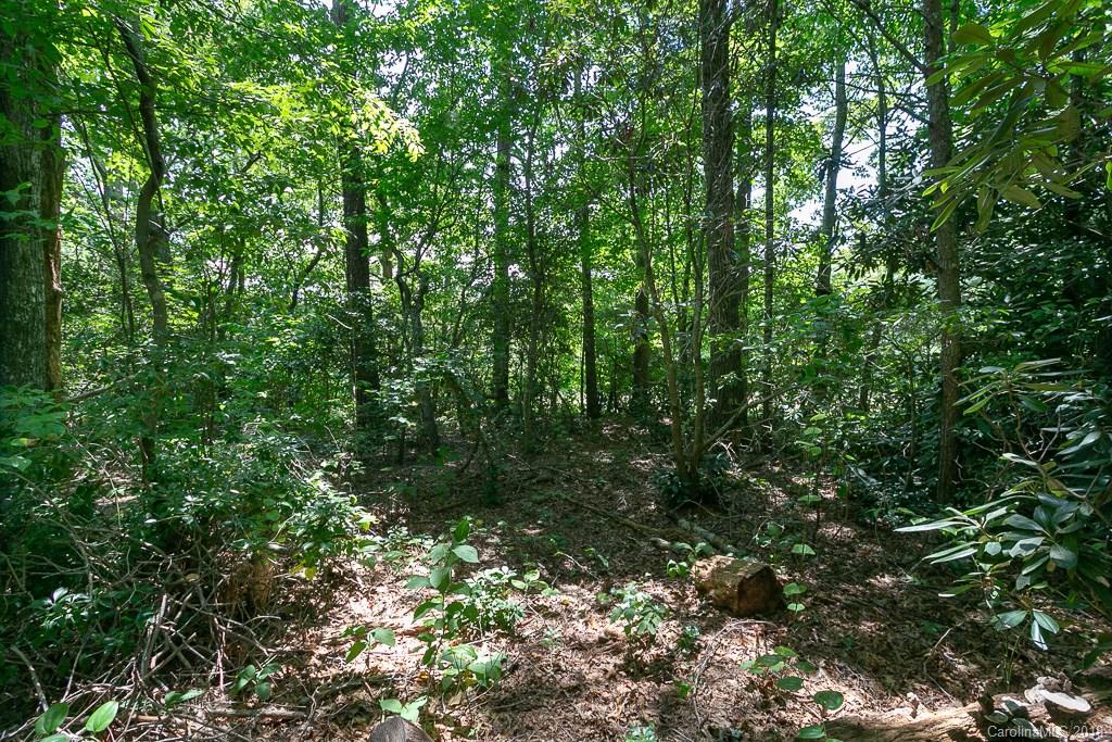 580 Old Fort Road Fairview NC 28730
