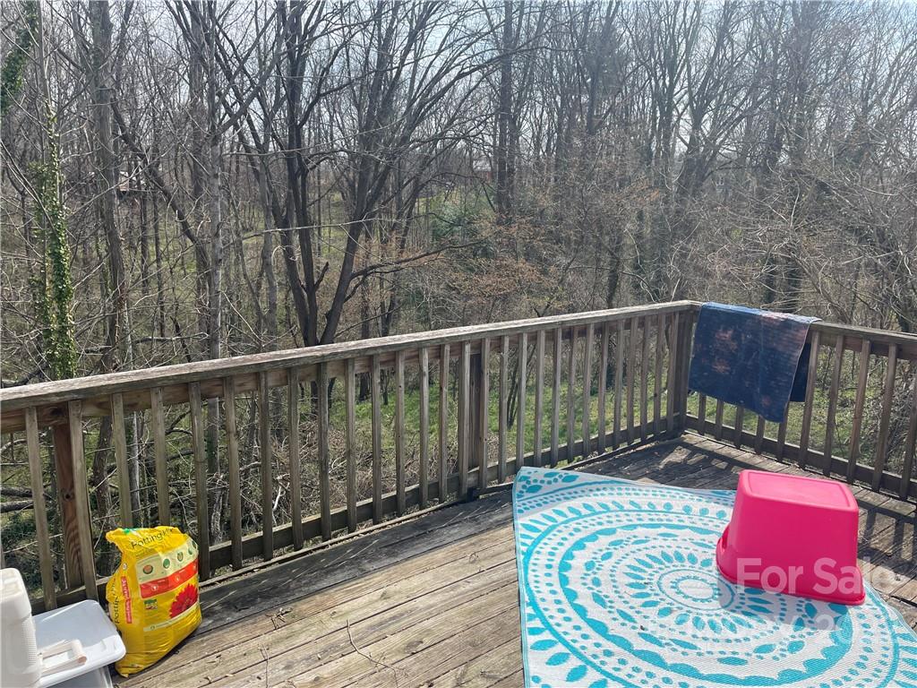 51 Argyle Lane Asheville NC 28806