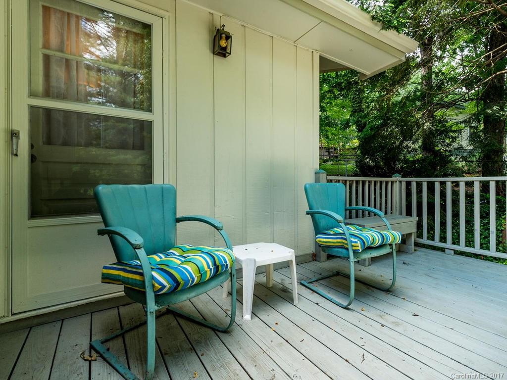 29 Rhododendron Place Asheville NC 28805