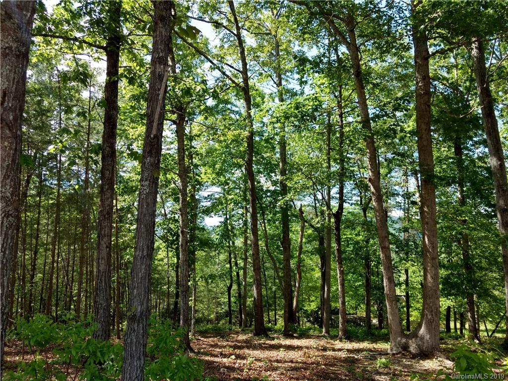 276 Howell Road Lake Lure NC 28746
