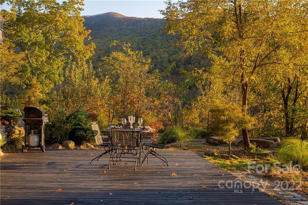 510 Blackberry Inn Road Weaverville NC 28787