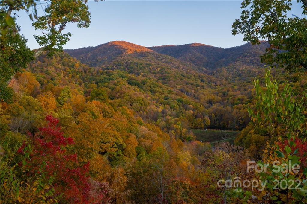 510 Blackberry Inn Road Weaverville NC 28787