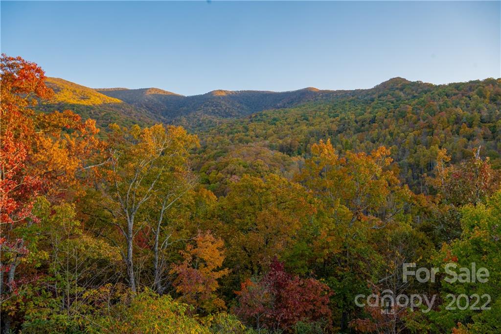 510 Blackberry Inn Road Weaverville NC 28787