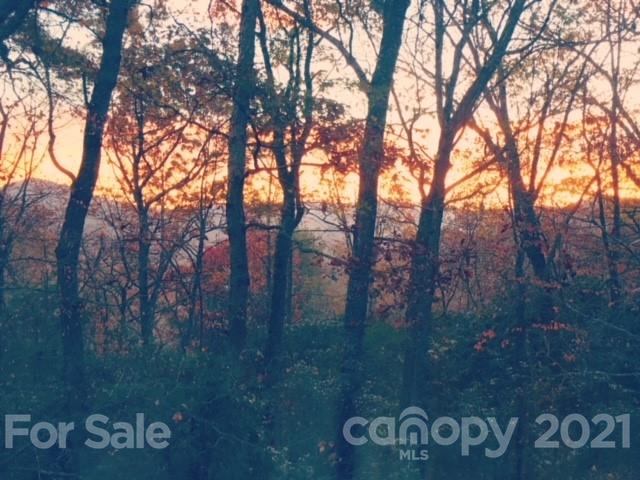 48 Whitaker View Road Fairview NC 28730