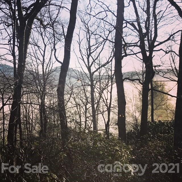 48 Whitaker View Road Fairview NC 28730