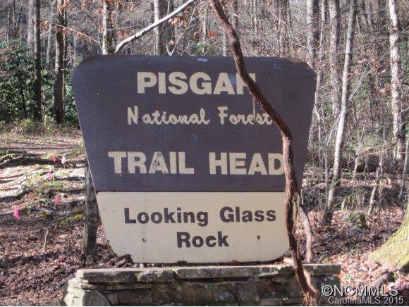 24 Beckett Drive Mills River NC 28759