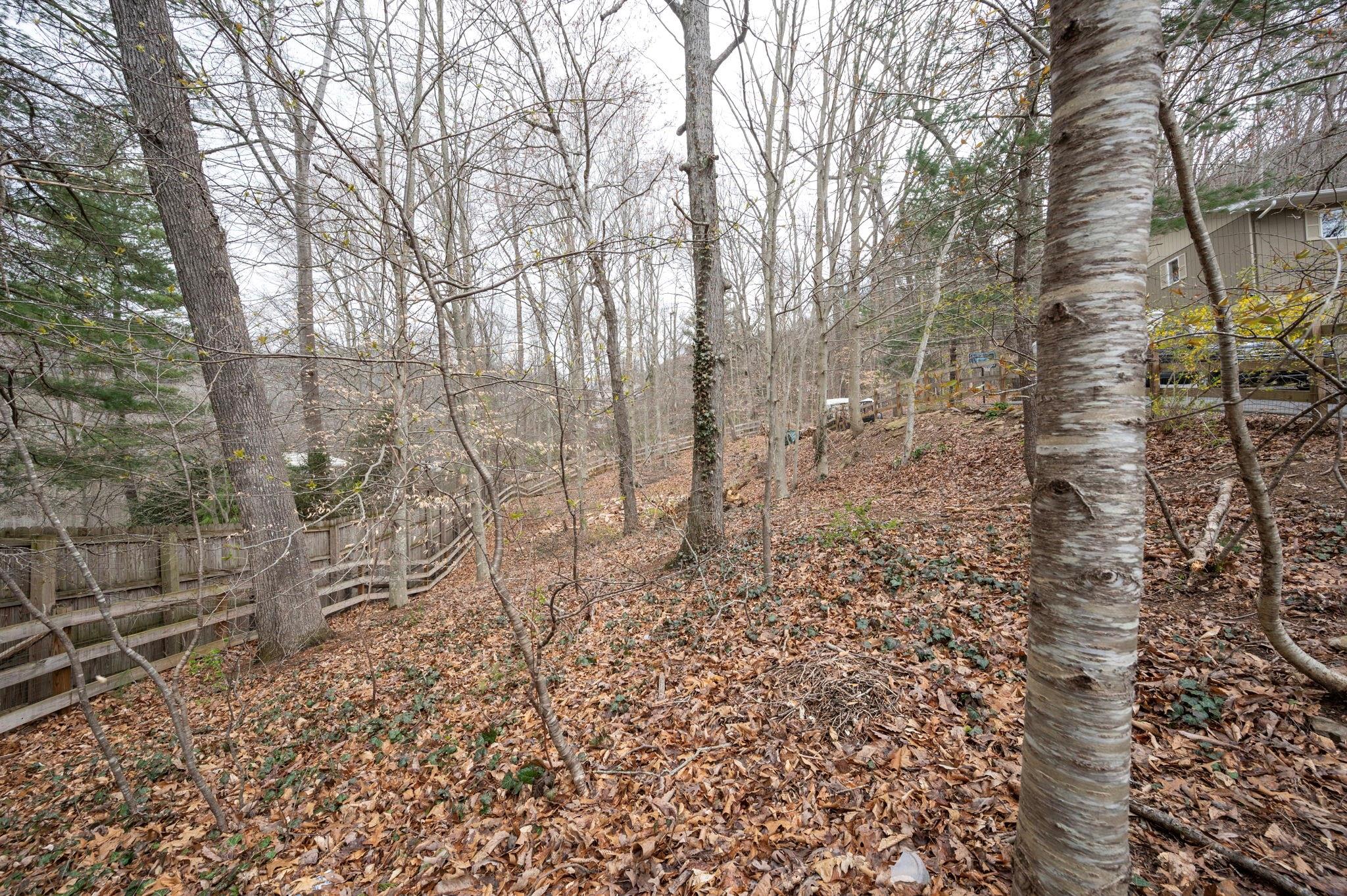 8 Beech Tree Lane Asheville NC 28804