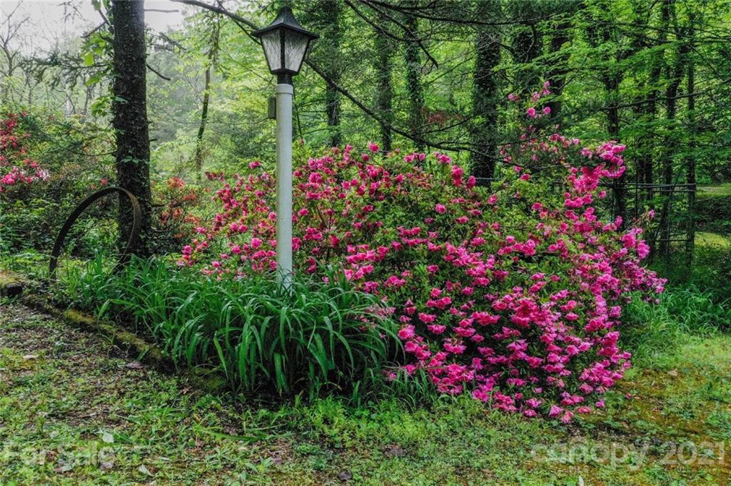 188 Geneva Drive Marion NC 28752