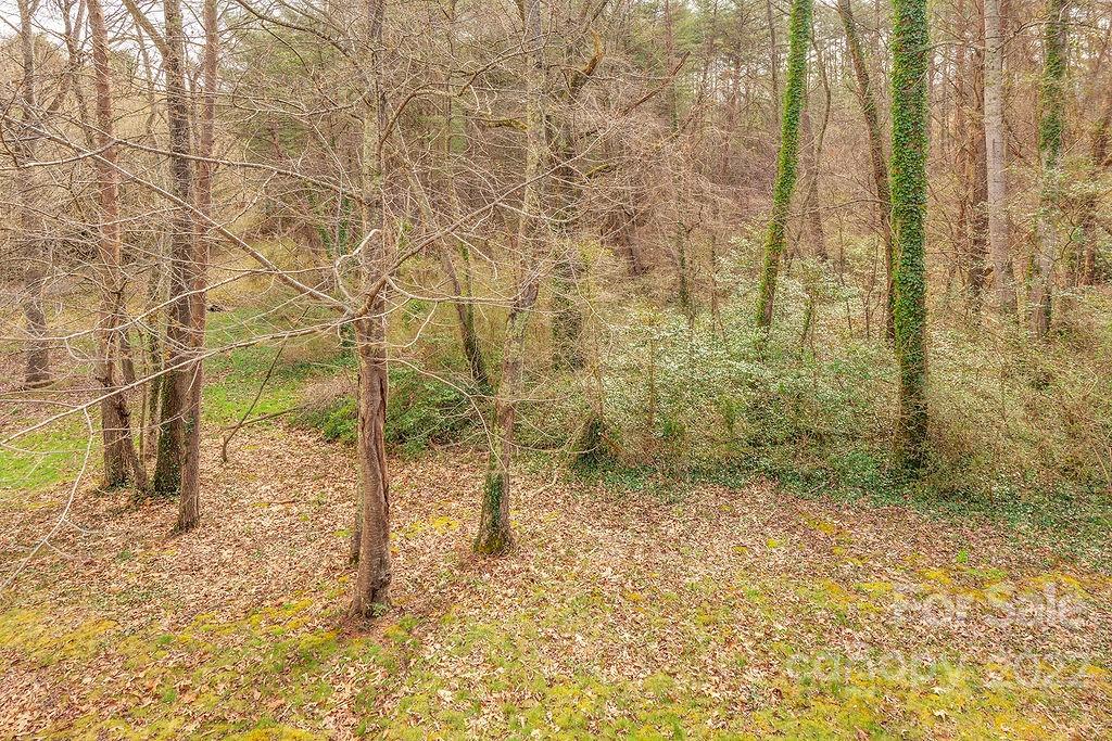 5 Parkway Creek Drive Asheville NC 28803