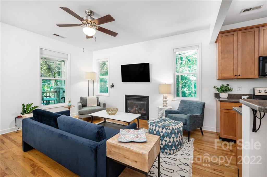 25 Vivian Avenue Asheville NC 28801