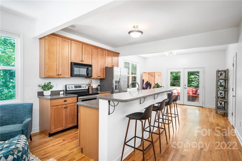 25 Vivian Avenue Asheville NC 28801