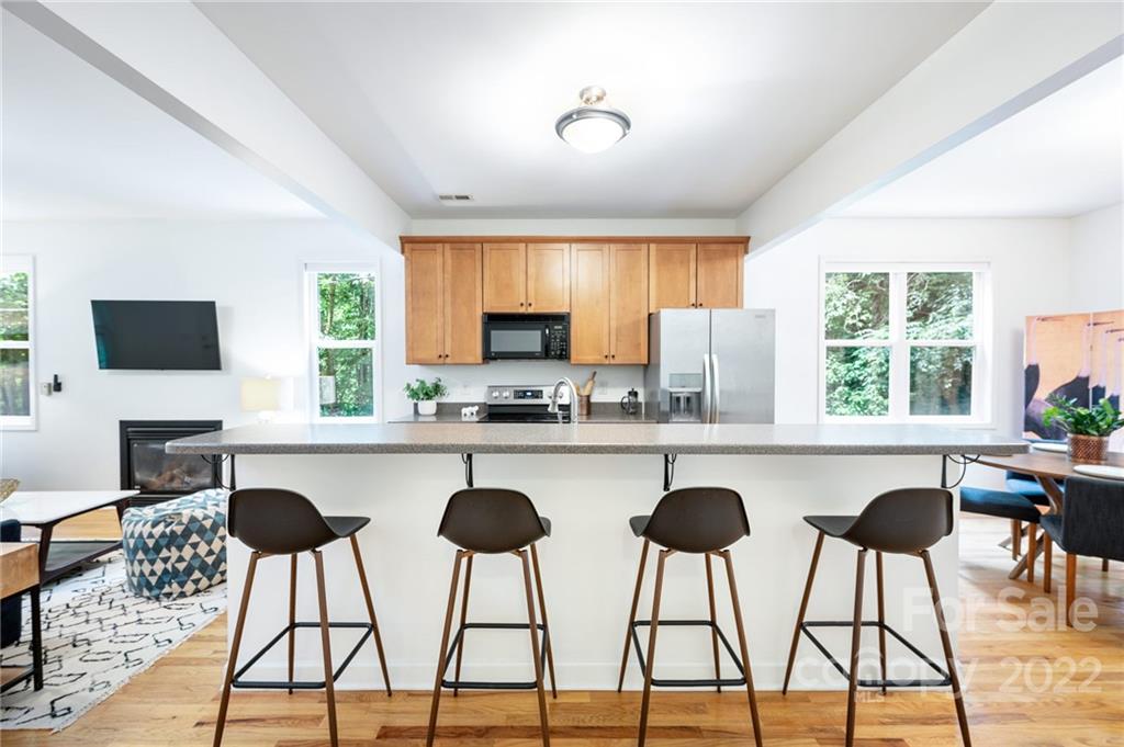 25 Vivian Avenue Asheville NC 28801