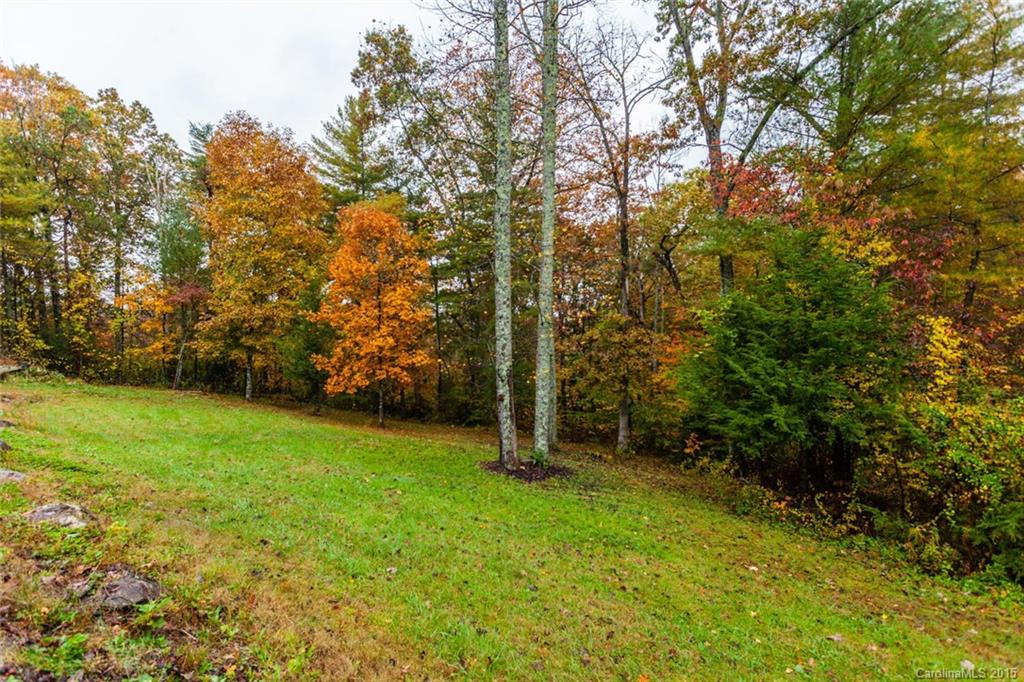 225 Goldview Road Asheville NC 28804