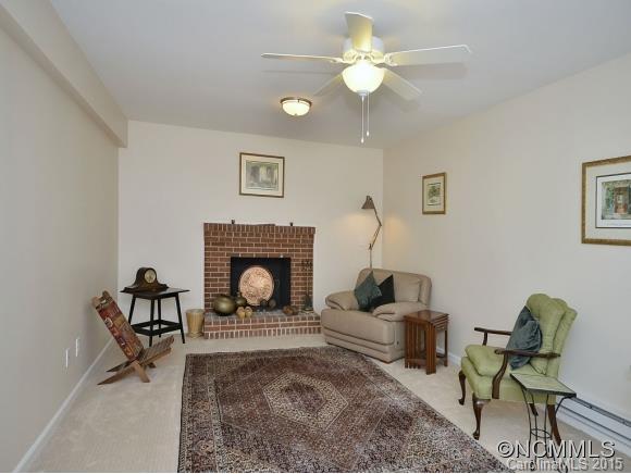 15 Alpine Way Asheville NC 28805