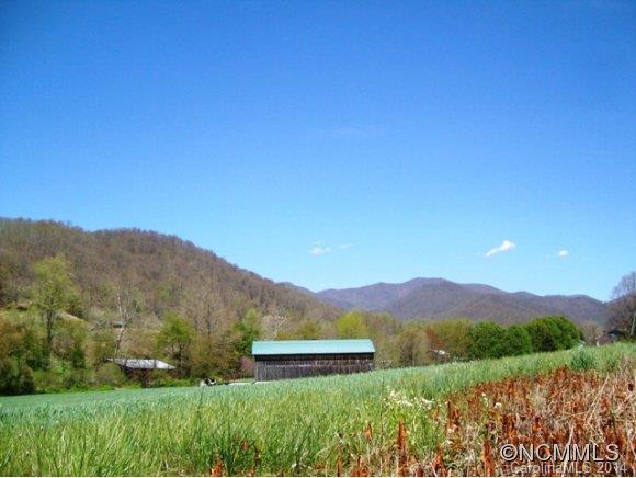 320 Martins Creek Road Barnardsville NC 28709
