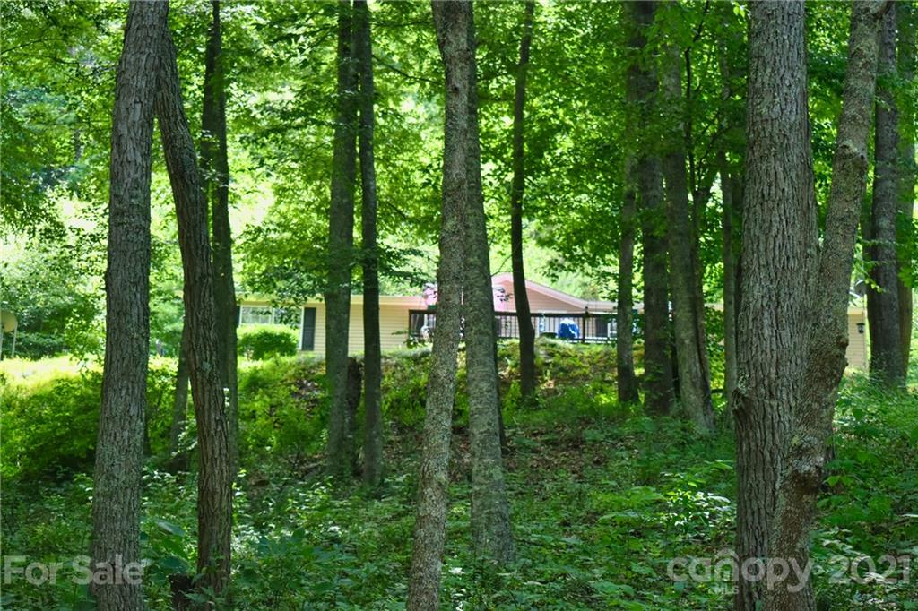 113 Garnet Drive Canton NC 28716