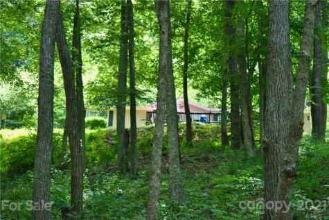 113 Garnet Drive Canton NC 28716