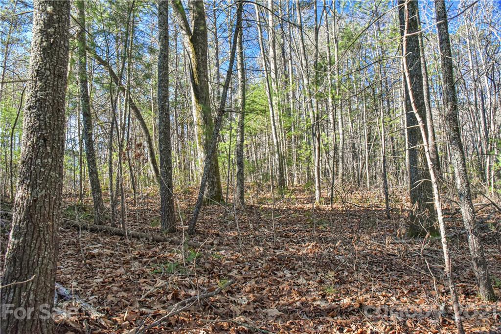 36 Buffalo Creek Drive Fairview NC 28730