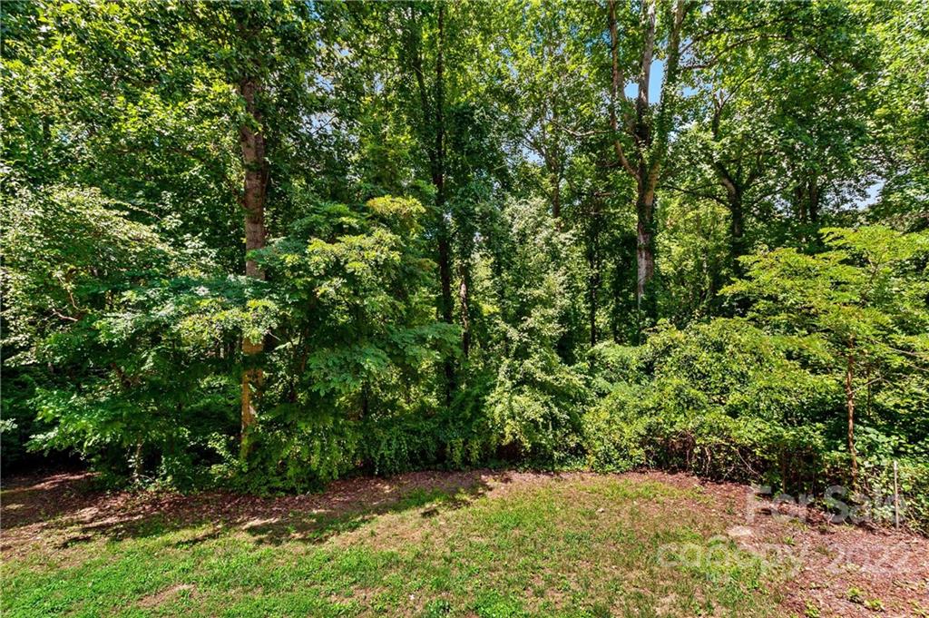 15 Cougar Mountain Road Fairview NC 28730