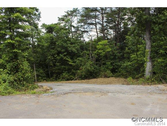 25 Little John Lane Swannanoa NC 28778