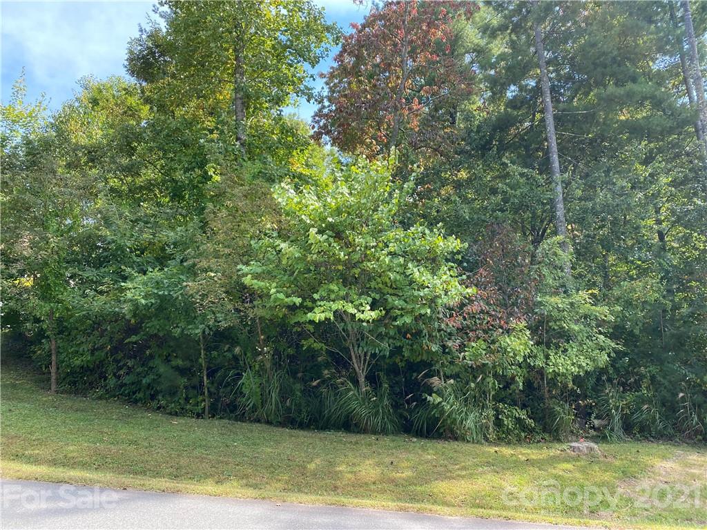 3 Magnolia View Trail Asheville NC 28804