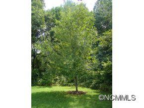 59 Mccurry Road Weaverville NC 28787