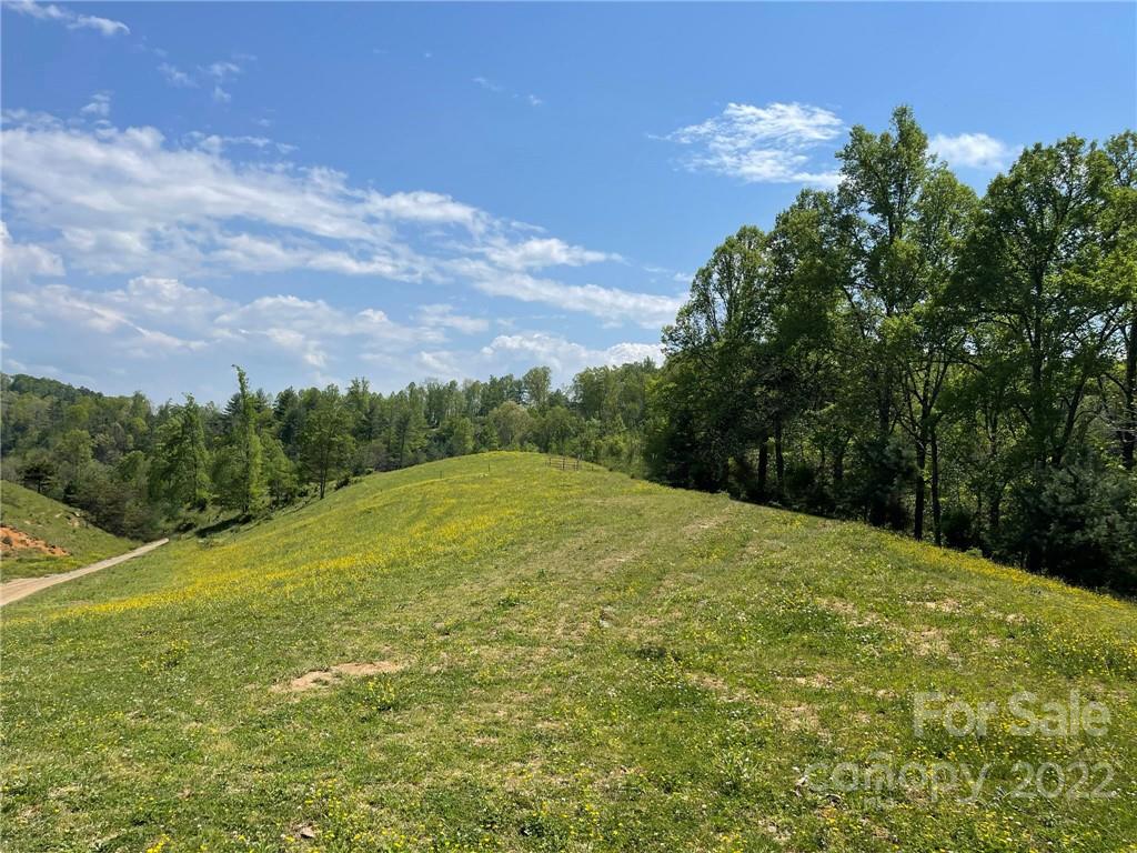 187 Distant View Drive Marshall NC 28753