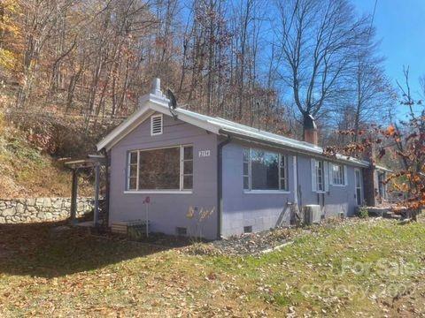 2194 Grapevine Road Marshall NC 28753