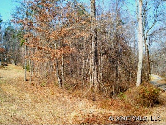12 Kevin Memorial Drive Candler NC 28715
