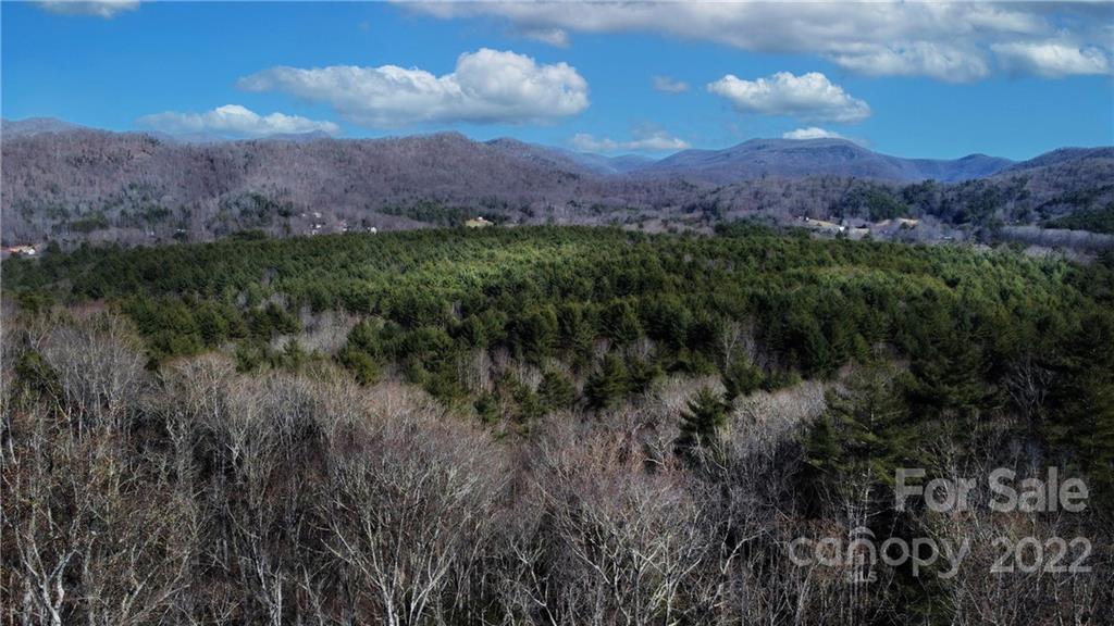 117 Wandering Oaks Way Asheville NC 28805