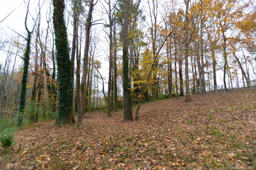 59 Robinwood Avenue Asheville NC 28806