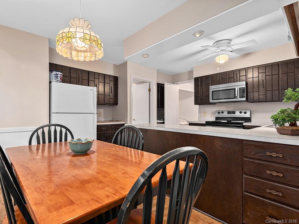 1 Beaverdam Court Asheville NC 28804